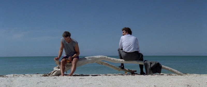 From Manhunter